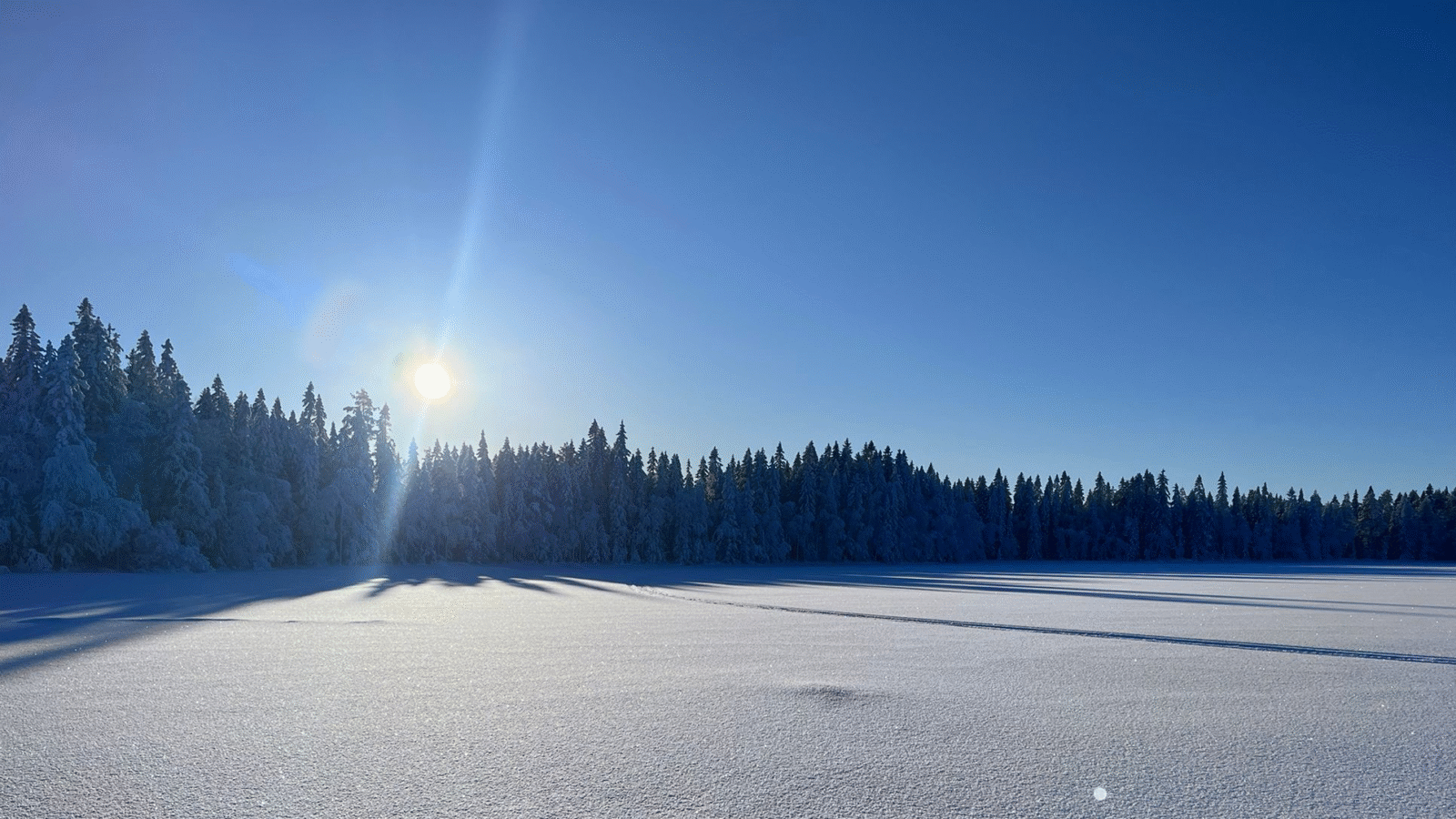 Solsken i fjällmiljö