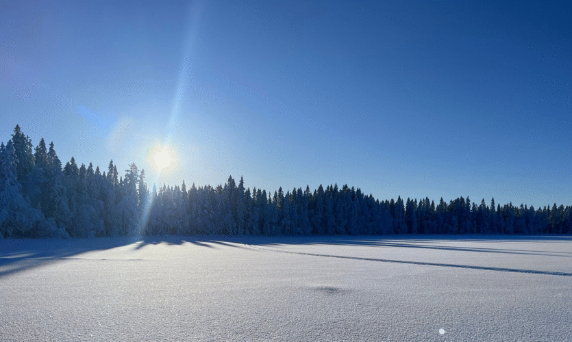 Solsken i fjällmiljö